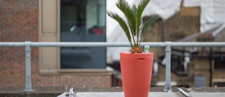 Преглед на Parrot Pot: Саксията за растения, която поддържа зелените ви живи