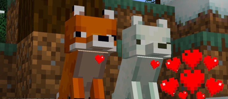 Как да укротим лисица в Minecraft