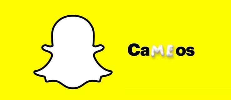 วิธีแก้ไข Snapchat Cameos ไม่ปรากฏในแอพ